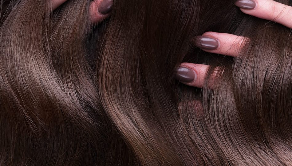 A closeup view of a bunch of shiny curls brown hair.